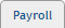 Payroll tab